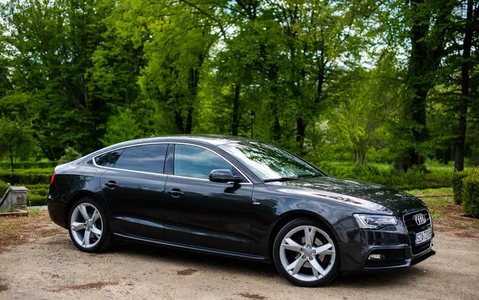 Audi A5 cena 58900 przebieg: 169000, rok produkcji 2012 z Lipno małe 67